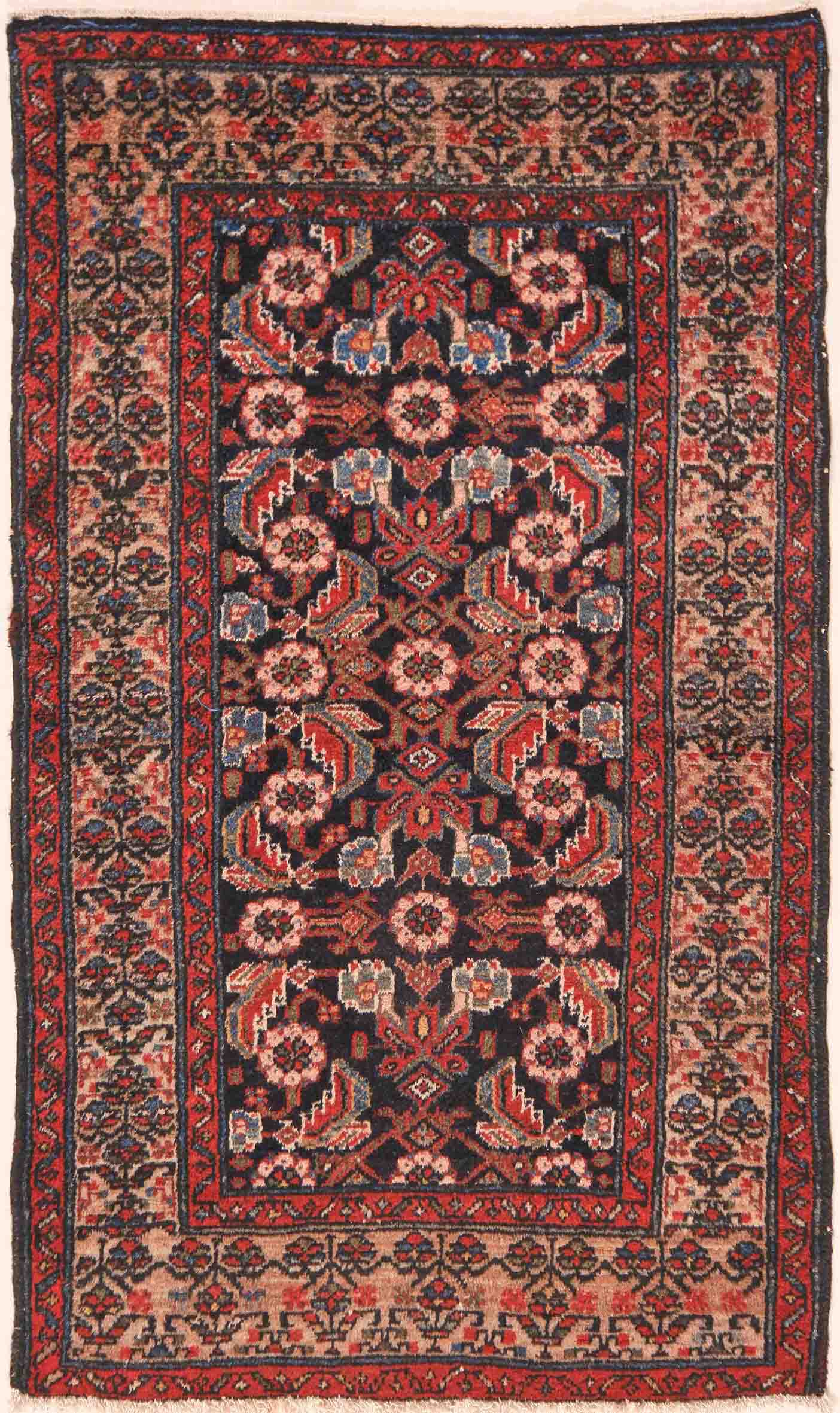 Malayer
