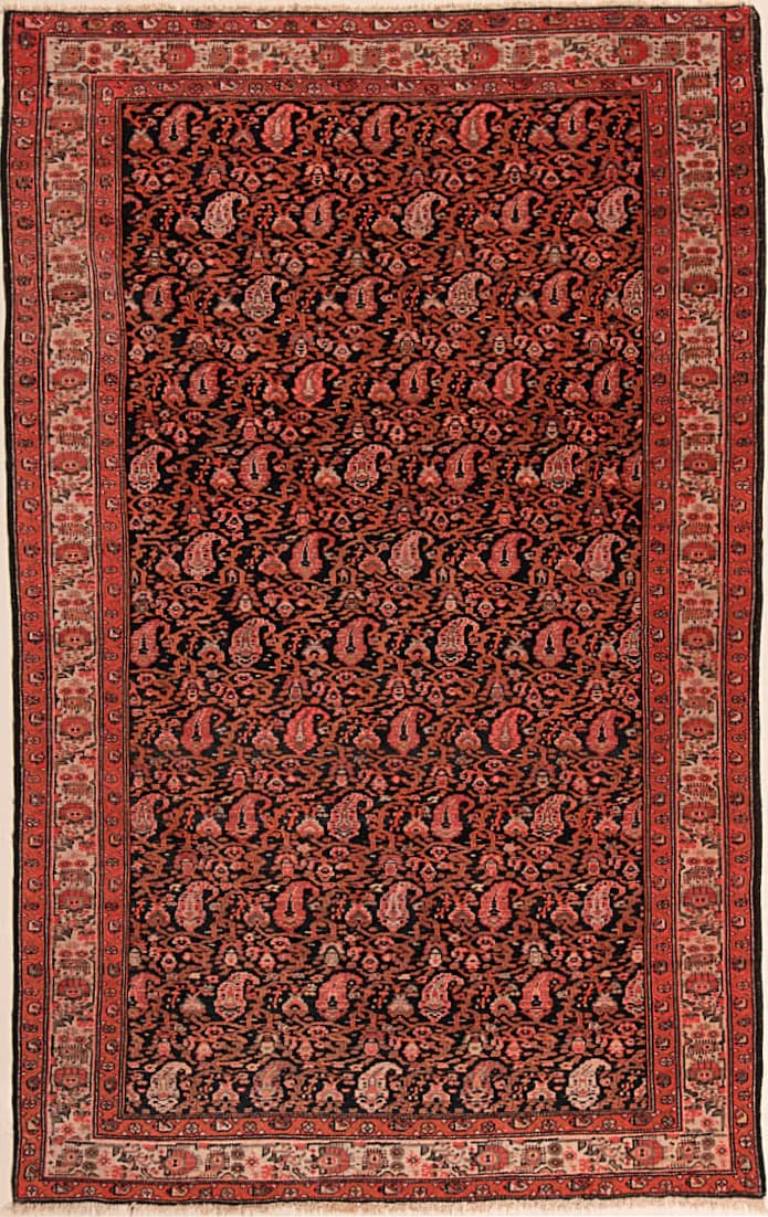 Malayer